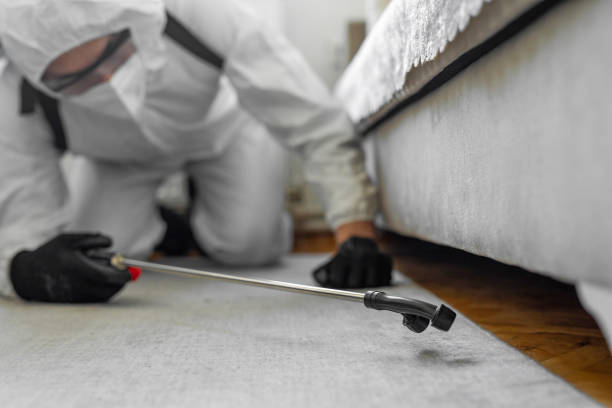 Professional Cockroach Control technician working in Bayou Blue, LA